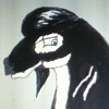 Tilikum {♦}.S.H.S. {♦}