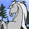 Whirl wind