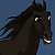 Bullet (AppaloosaPalooza)