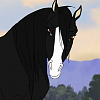 Smoke (AppaloosaPalooza)
