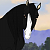 Smoke (AppaloosaPalooza)
