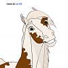 Kopa