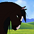 Bearlily
