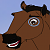 Rocky (Appy)