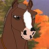 Image **Dingo*