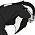 Jesse (striderlover123)