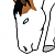 Apollo (indehmono)