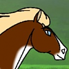 Arapaho 