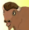 Buffalo