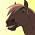 Lakota Horse No.1