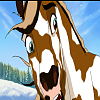 *Comanche*