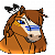 * Wyoming *