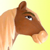 Homeland Horse