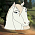 Shira
