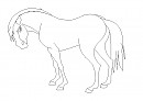 Grumpy stallion lineart