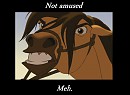 Not amused