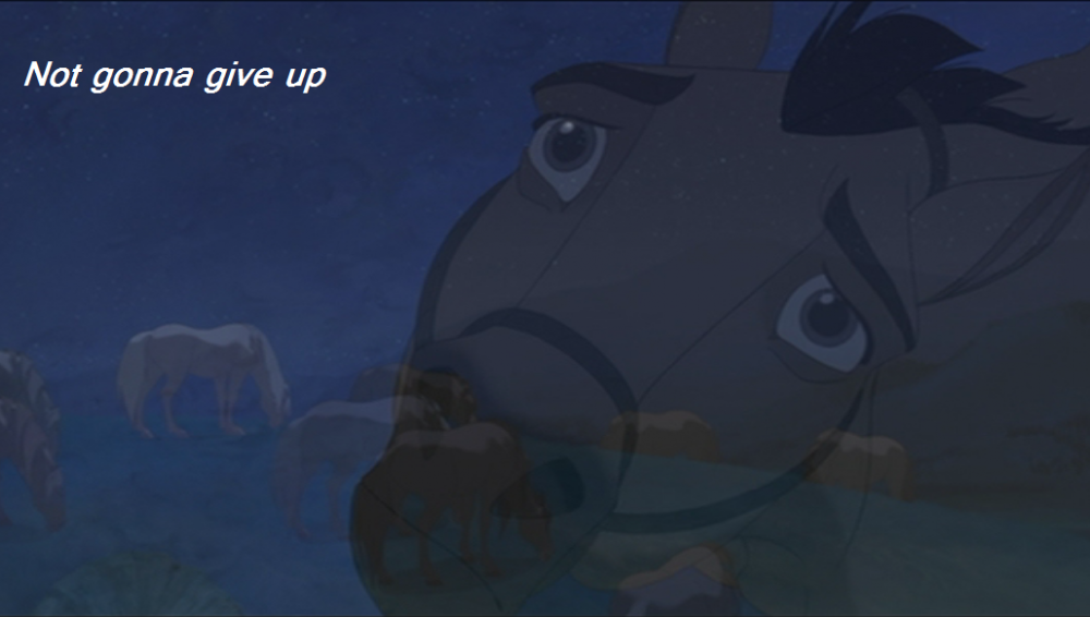 Not gonna give up