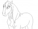 Shy mare lines