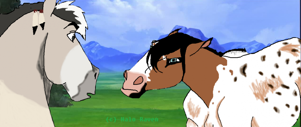 Stallions!