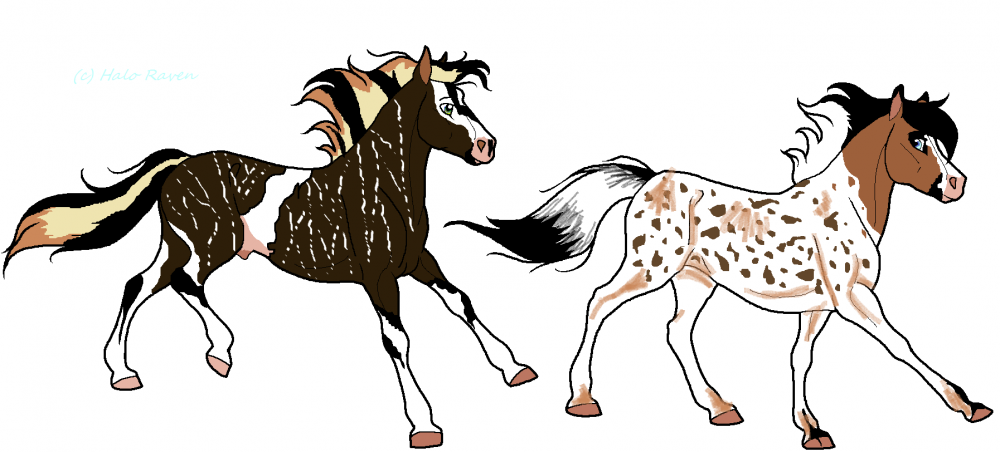 New Char Brutas (with Minx)