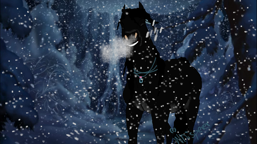 Shadow's Whisper (New Mare!)