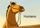 Humans