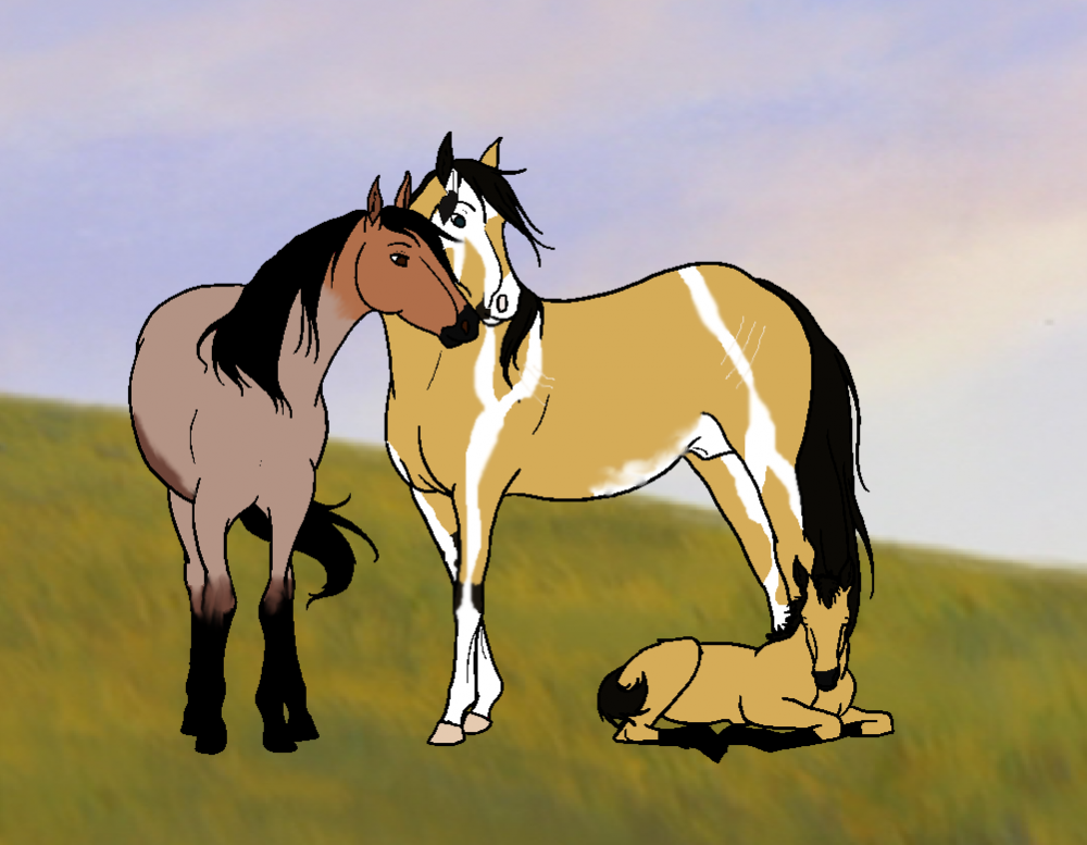 New foal