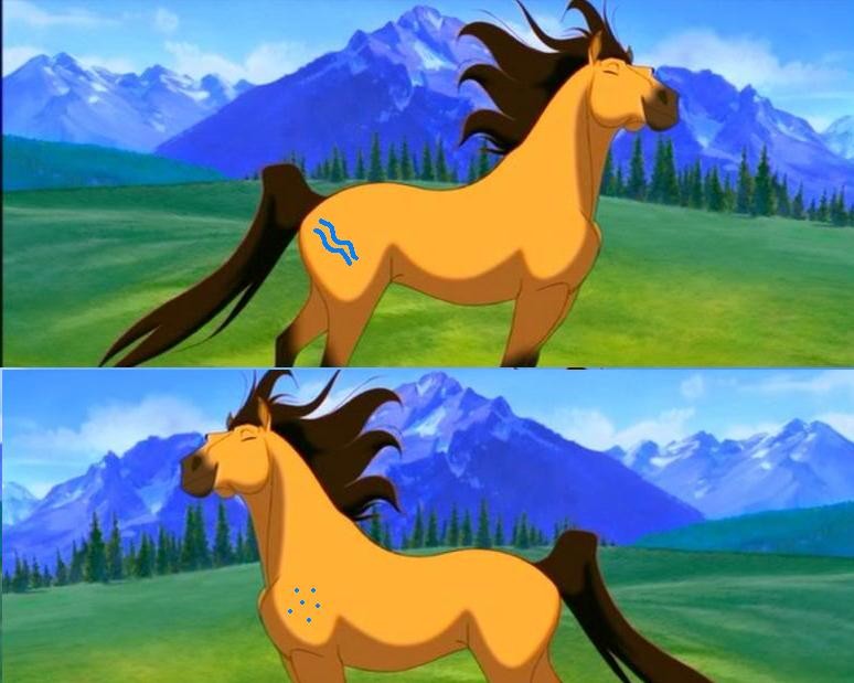 Paint Design
