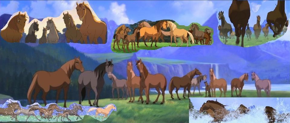 The Cimarron Herd