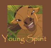 Spirit Avvie