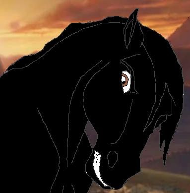 Night (c) Star Rider