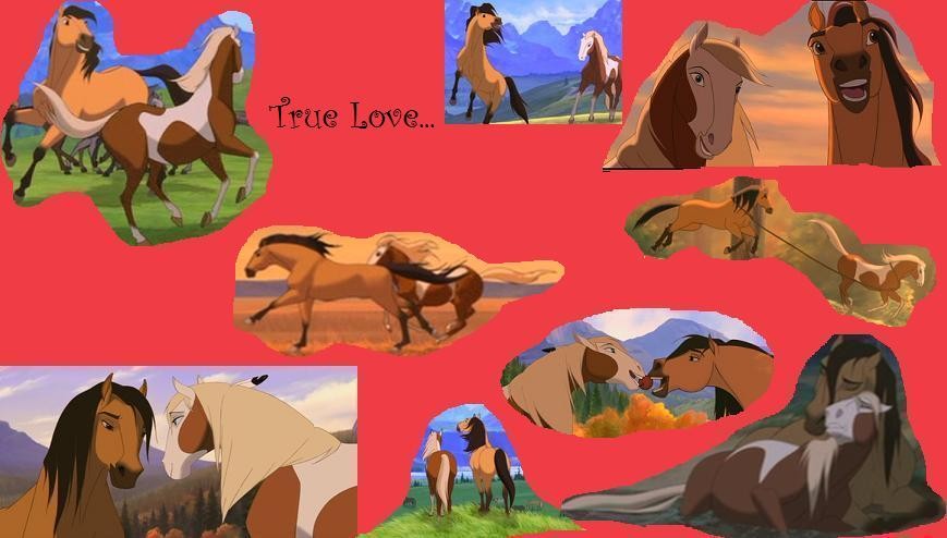 True Love