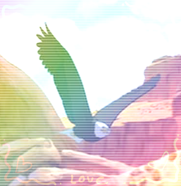 The Eagle: Icon Series