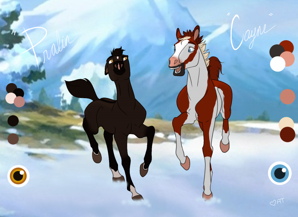 Candy Canes and Chocolate