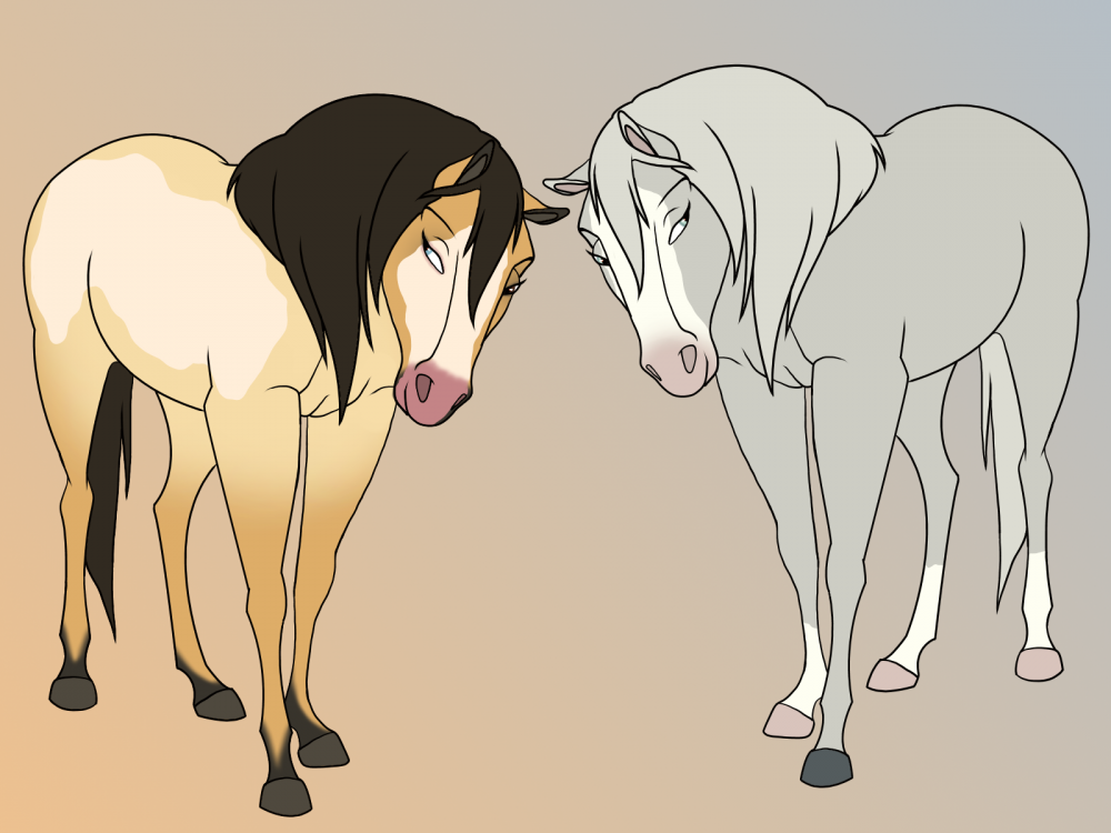 Sand Wash Basin Mare Adopts