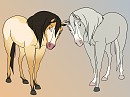 Sand Wash Basin Mare Adopts