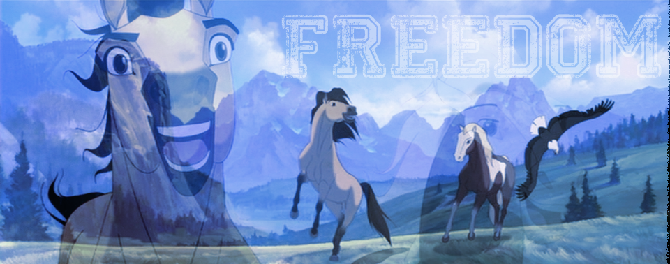 FREEDOM