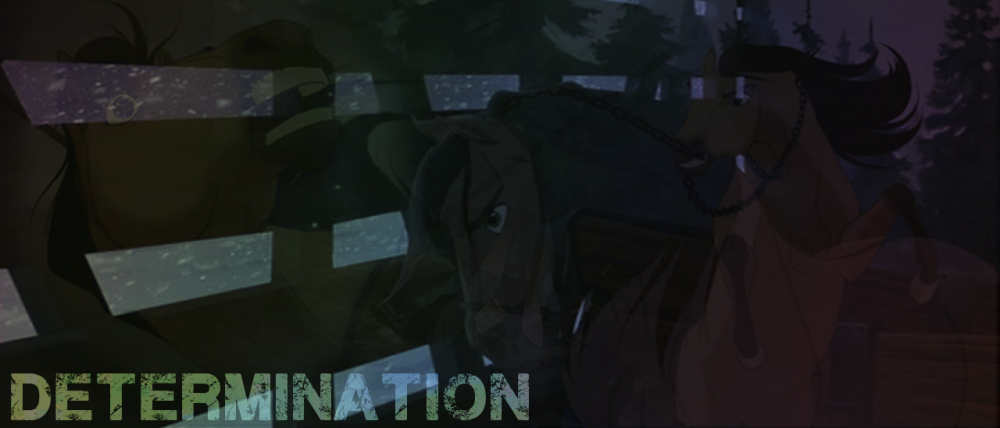 DETERMINATION
