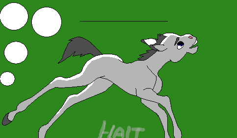 Foal base