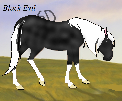 Black Evil