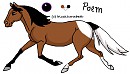 Re-design for...... Poem