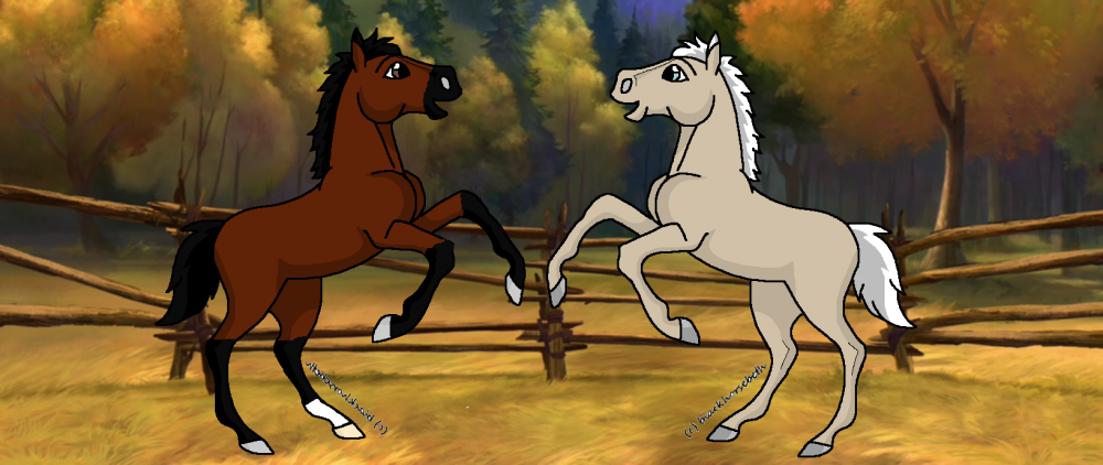 When we were foals.....