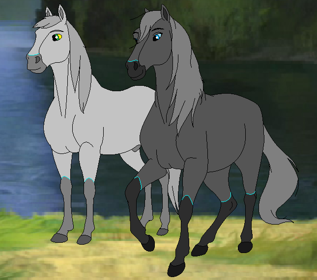 Stallion and Mare *BASE 01*