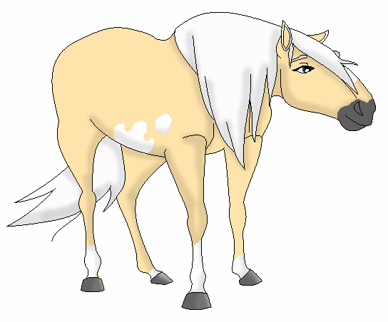 AT with Sonato Part I: Kiona