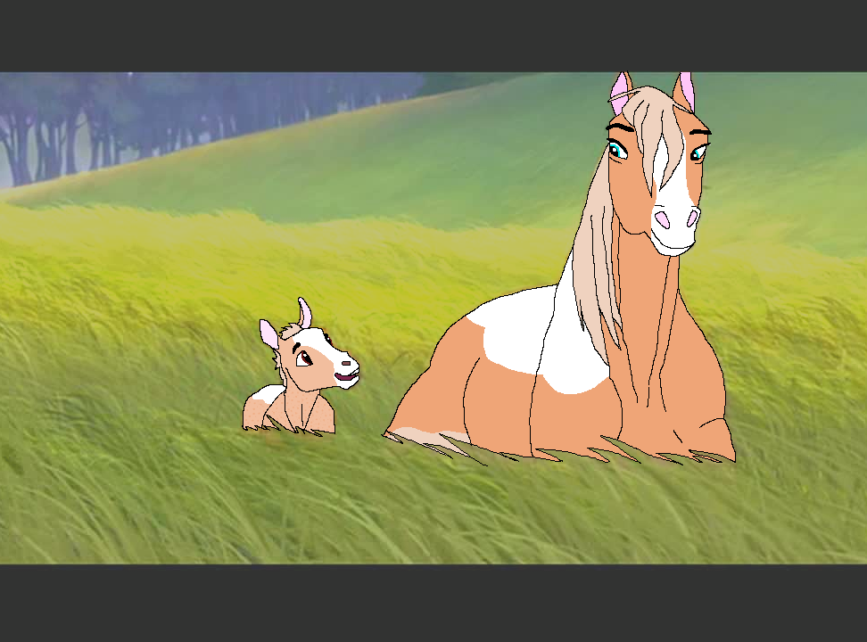 New foal