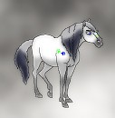 Introducing my new girl