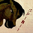 Spirit Avatar