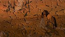 Peeled Paint Background