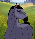 Ada_the_Animal - Request