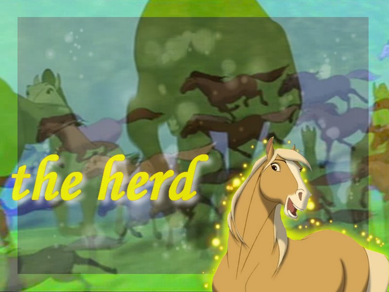 The herd